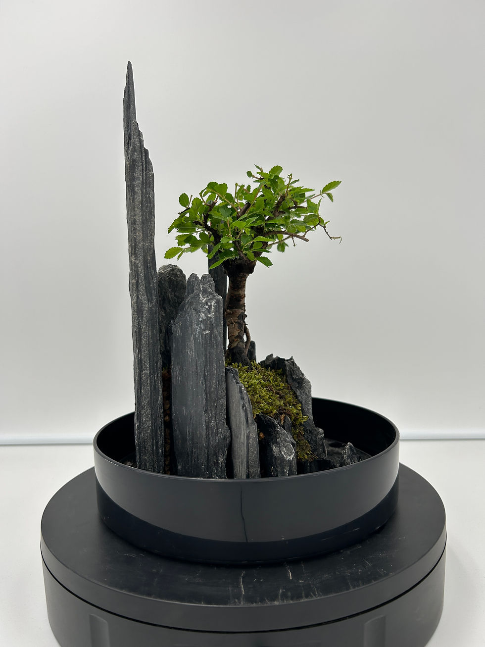 Miniature : petit paysage 49