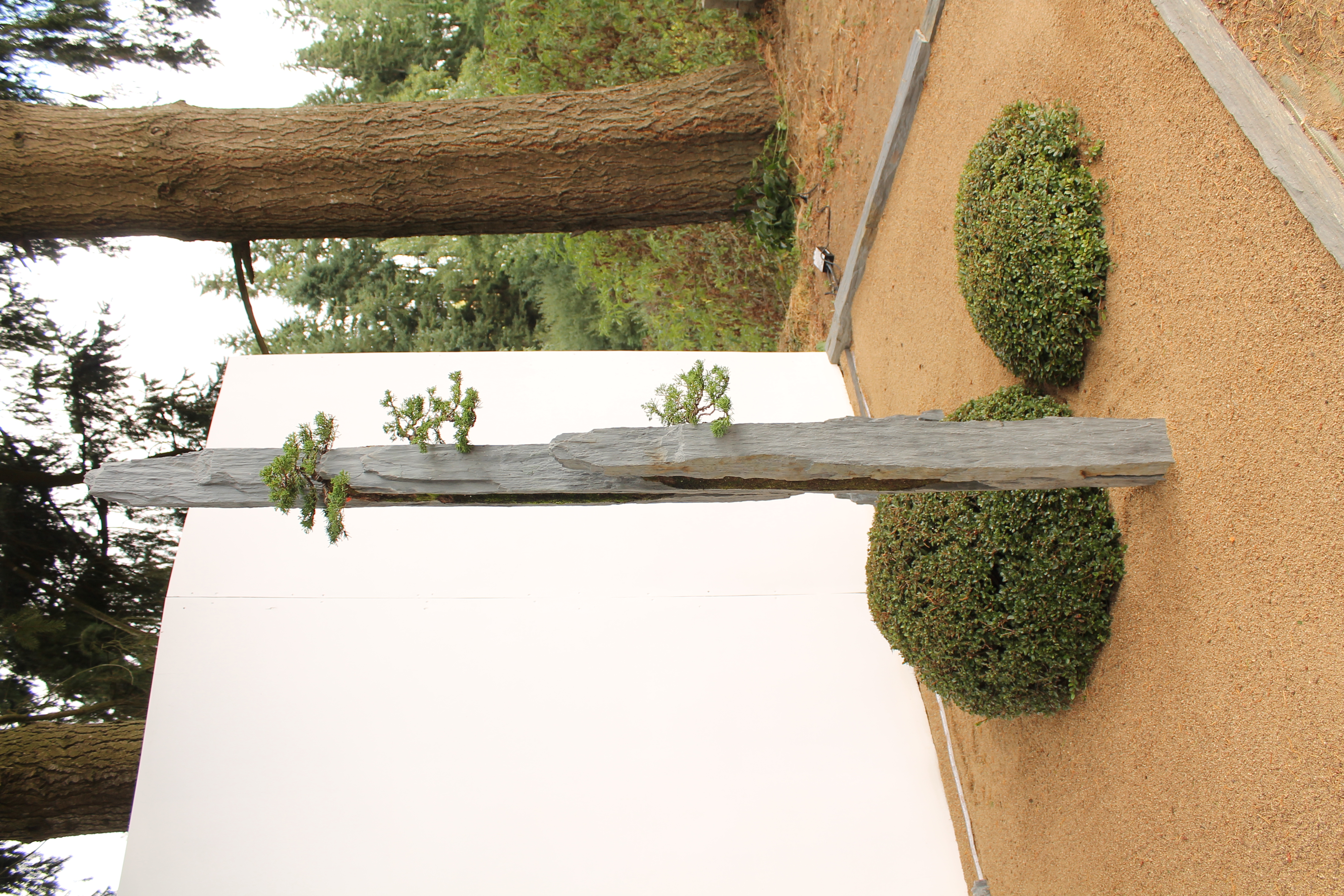 Bonsai-rocks