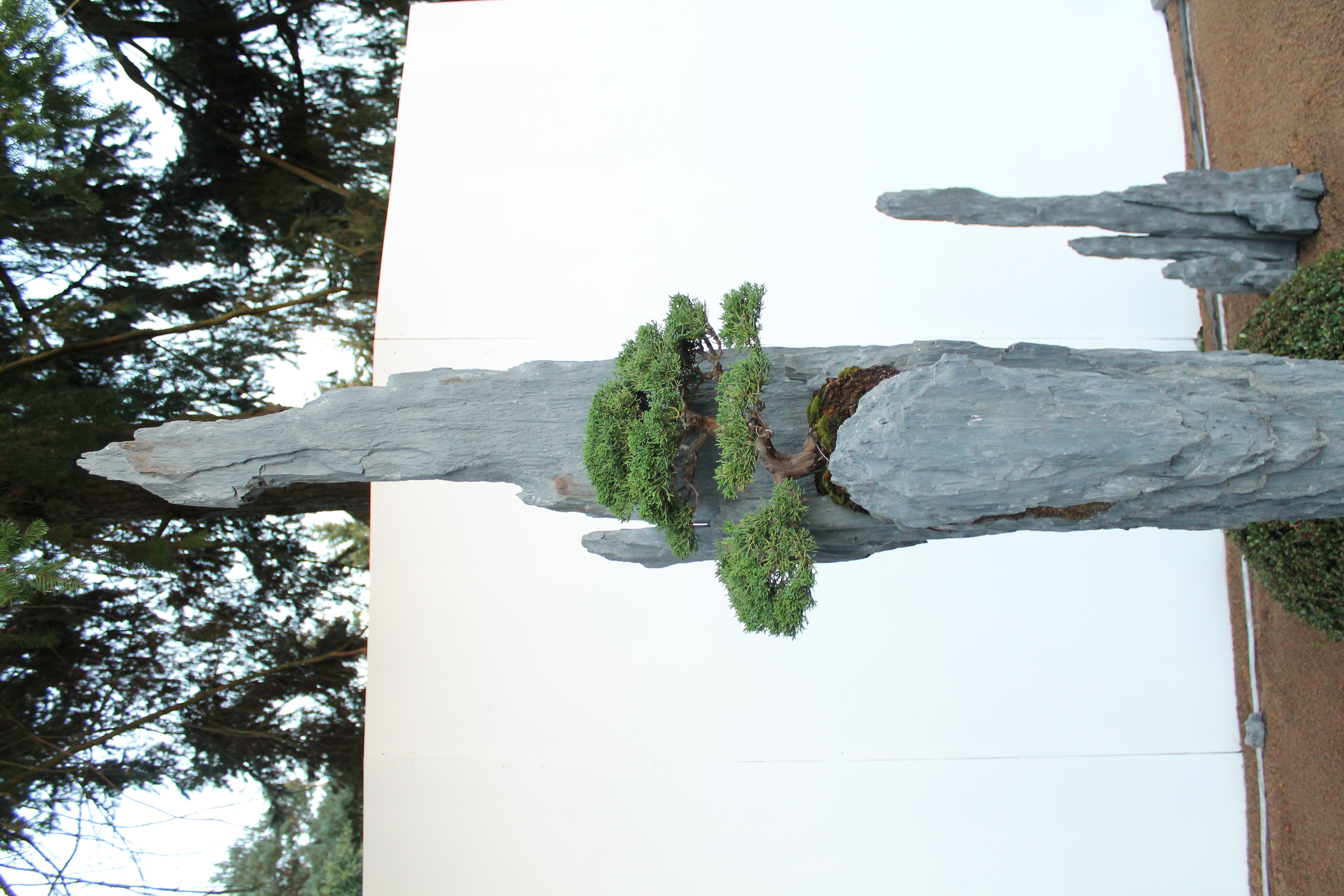 Bonsai-rocks