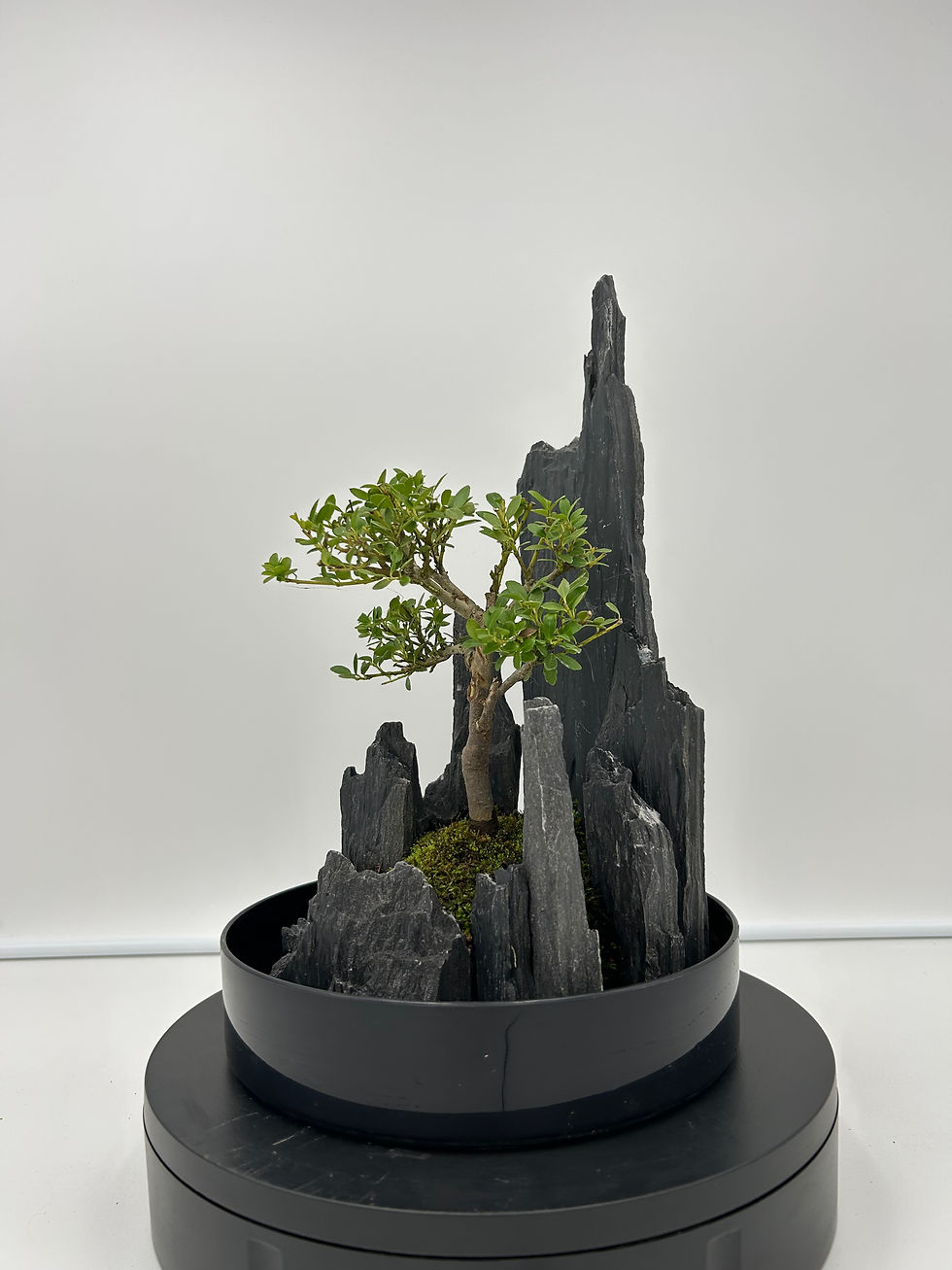 Miniature : petit paysage 23