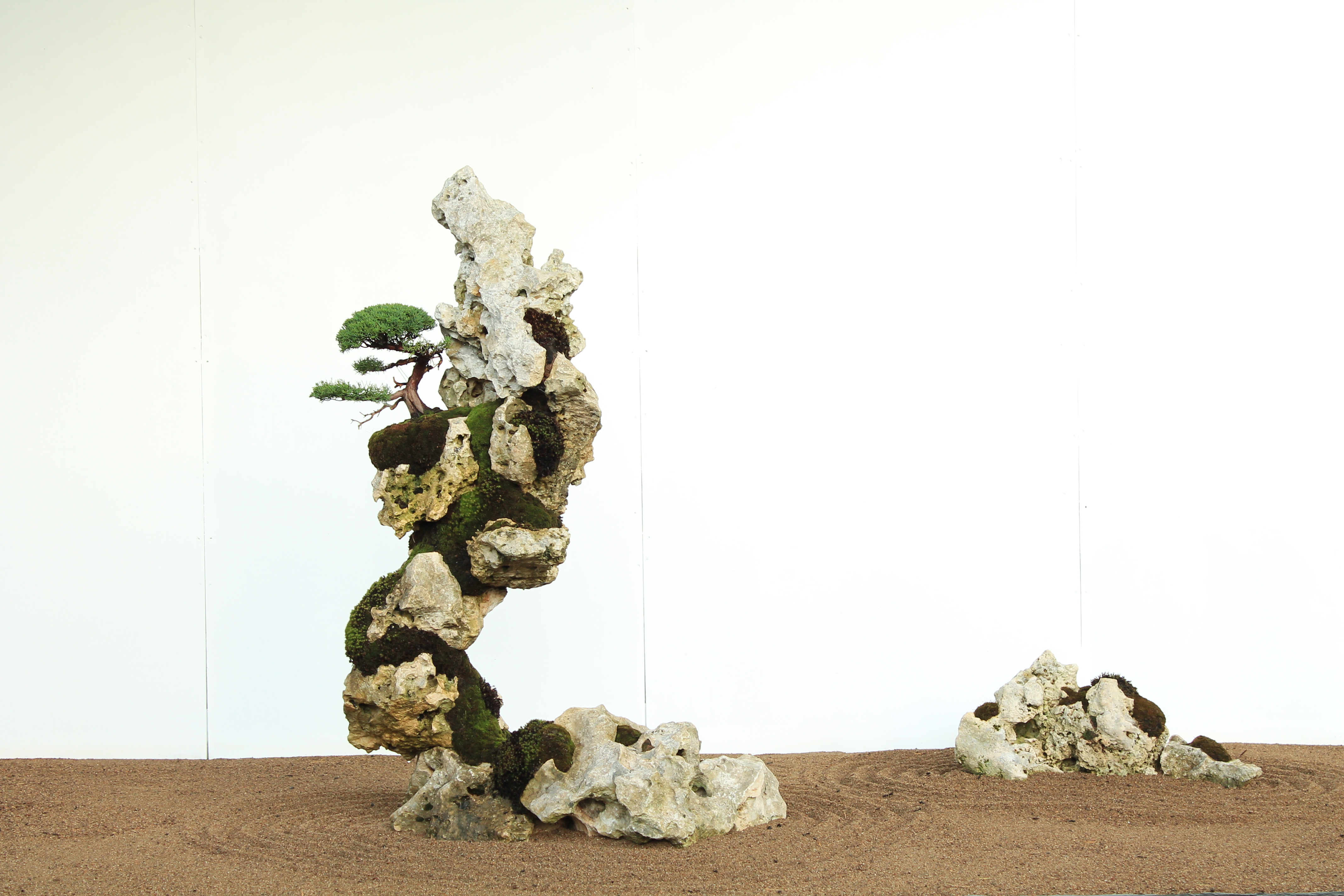 Bonsai-rocks