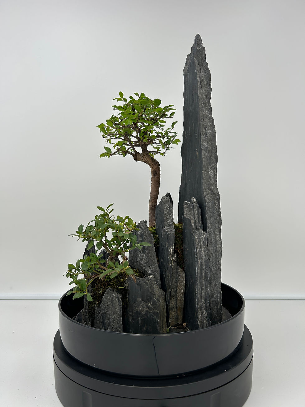 Miniature : petit paysage 84