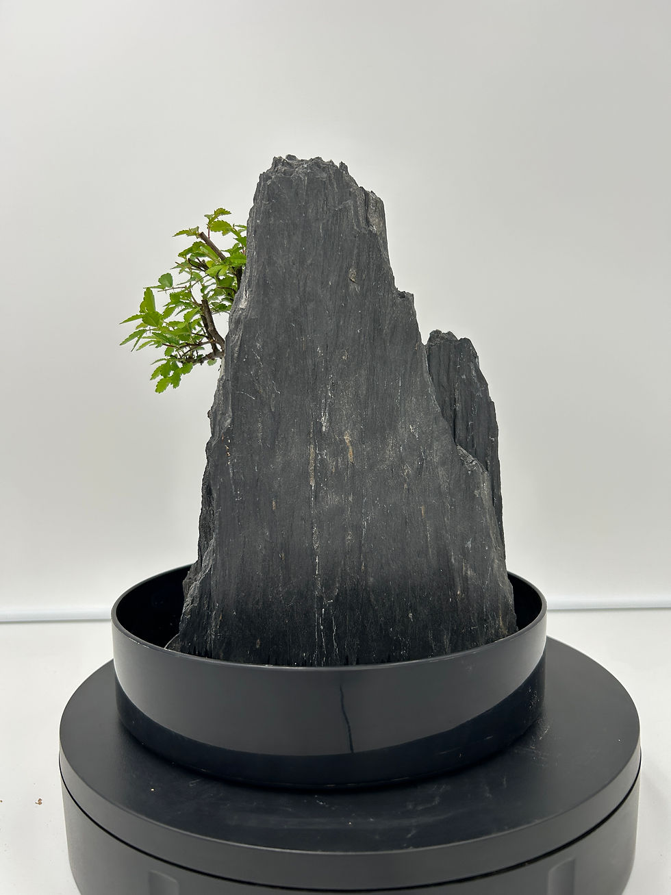 Miniature : petit paysage 59