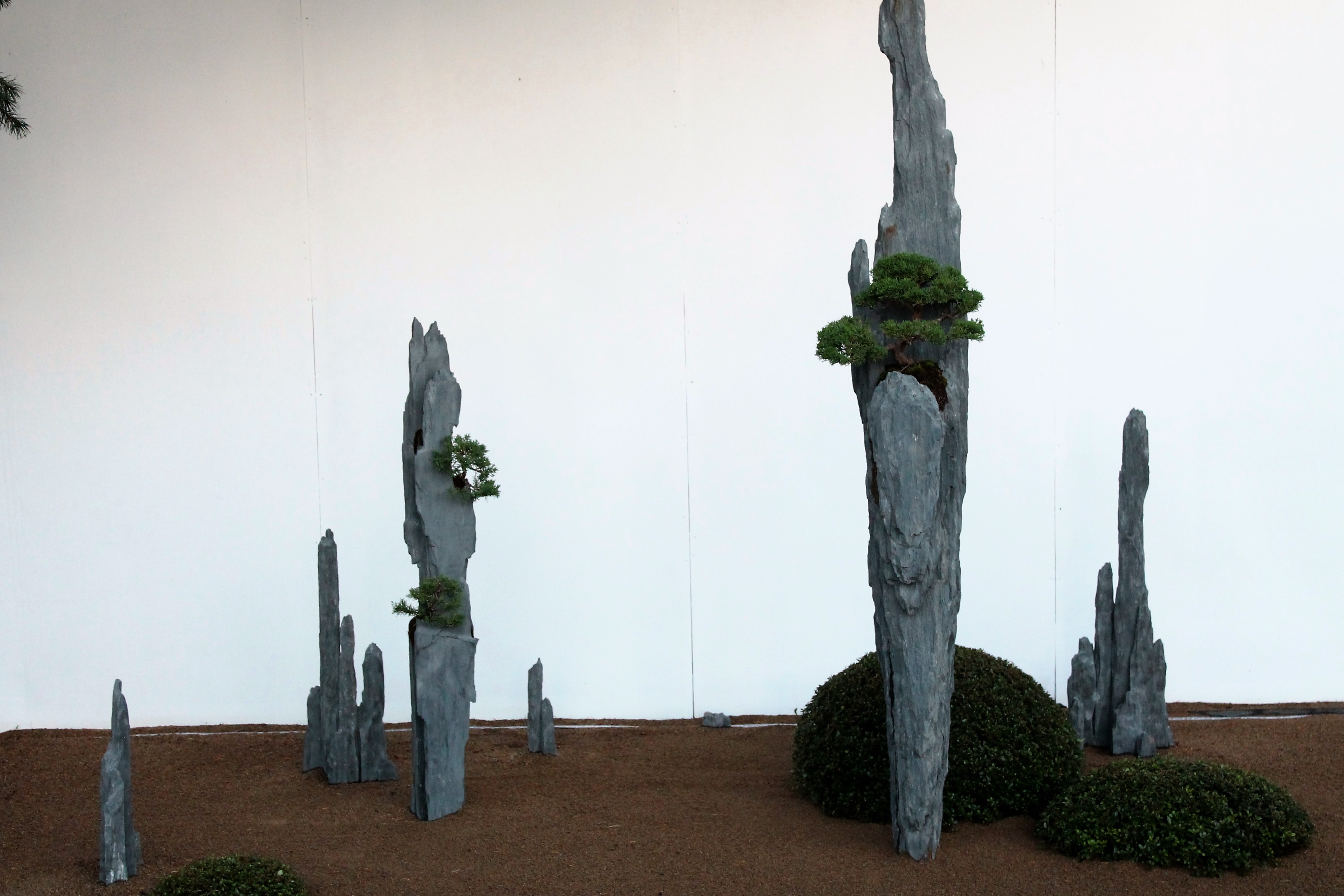 Bonsai-rocks