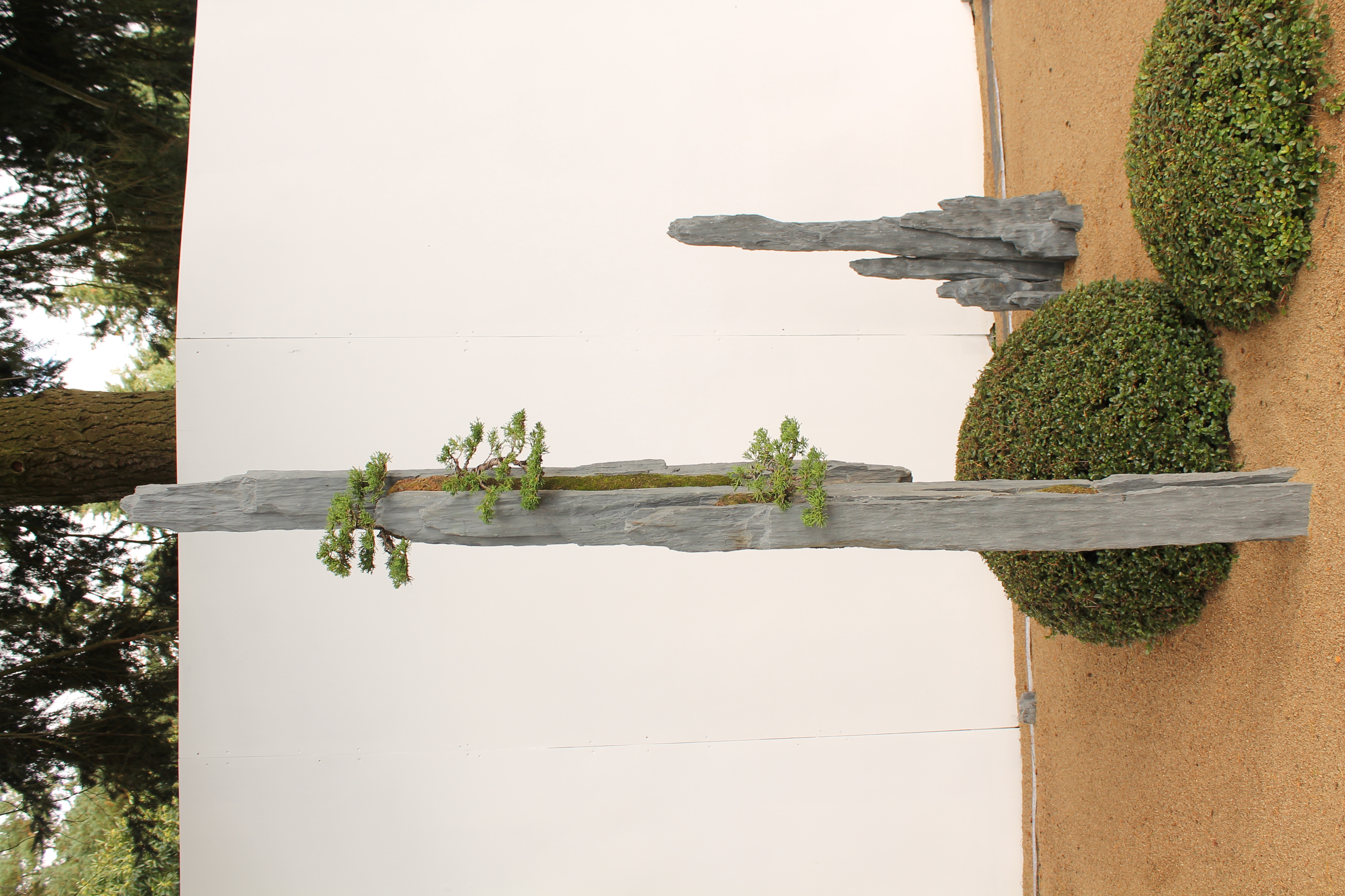 Bonsai-rocks