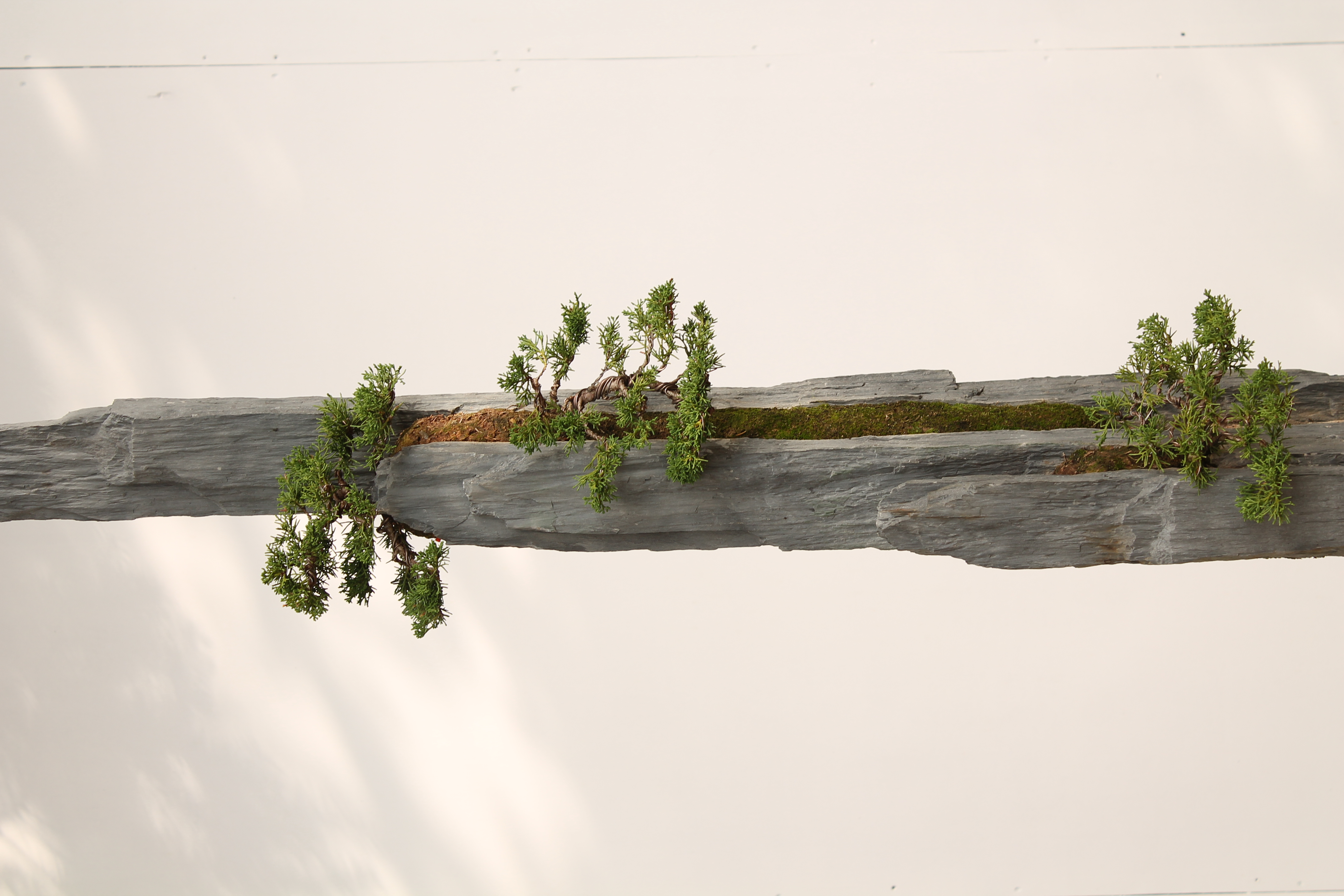 Bonsai-rocks