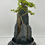Miniature : petit paysage 61