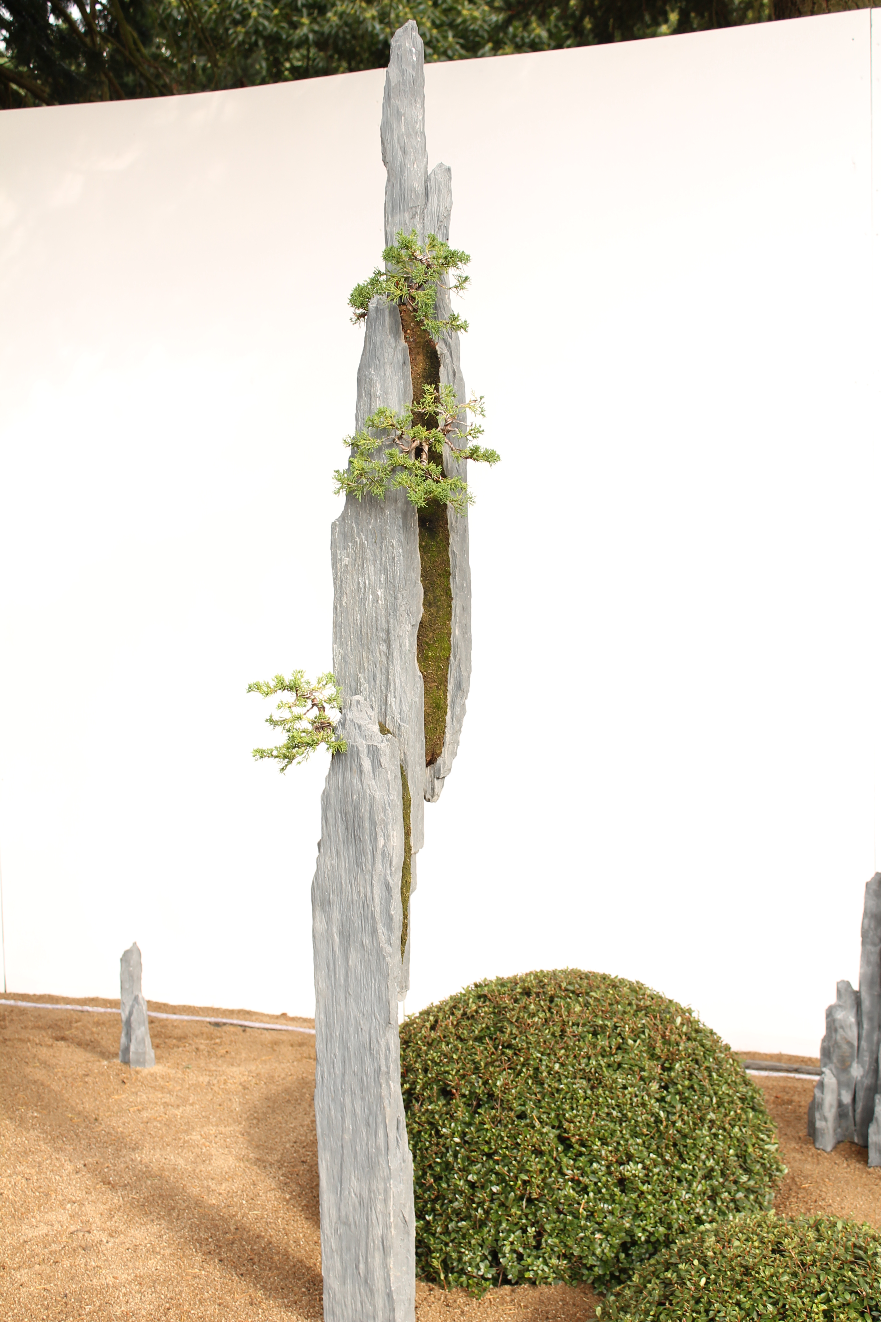 Bonsai-rocks