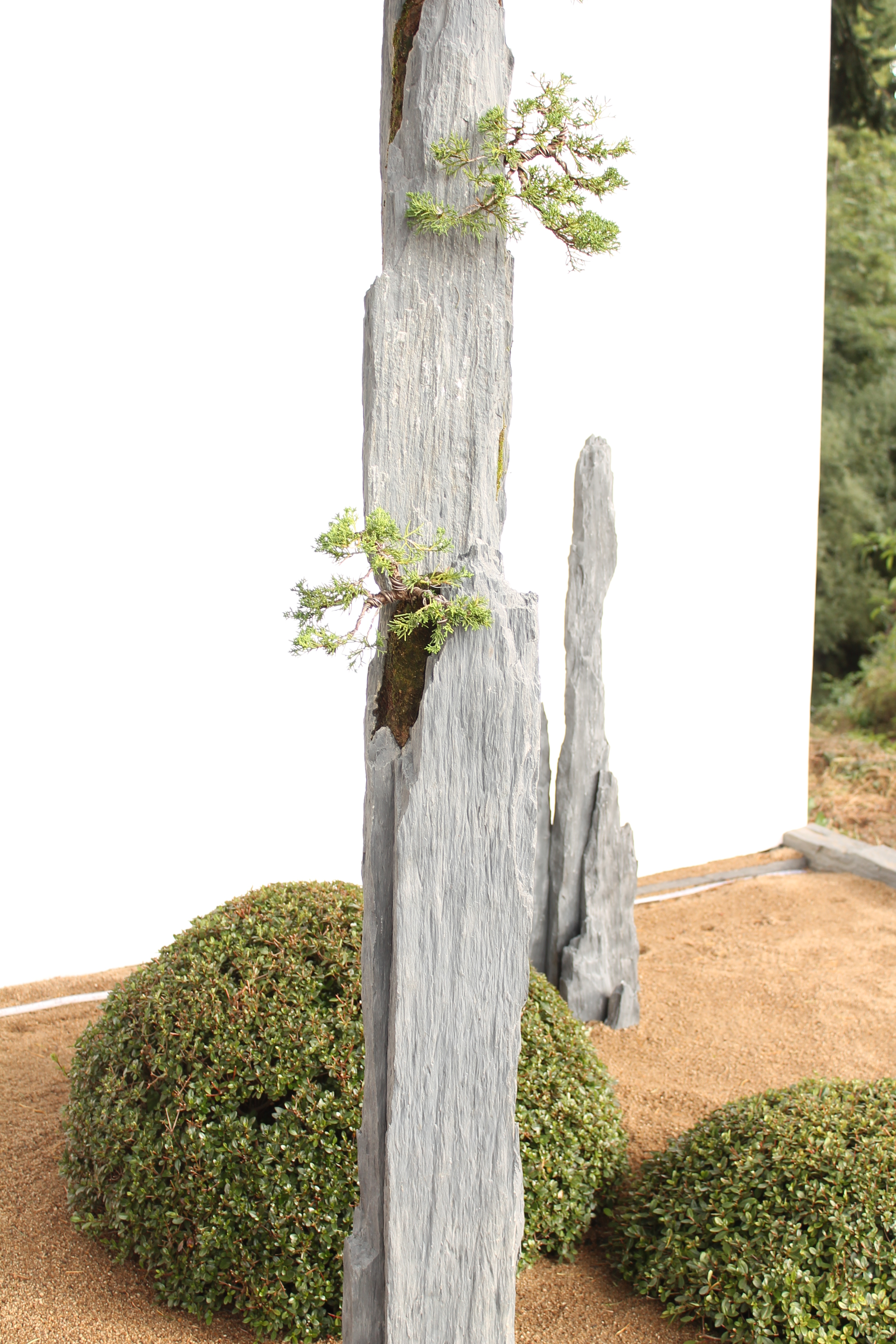 Bonsai-rocks