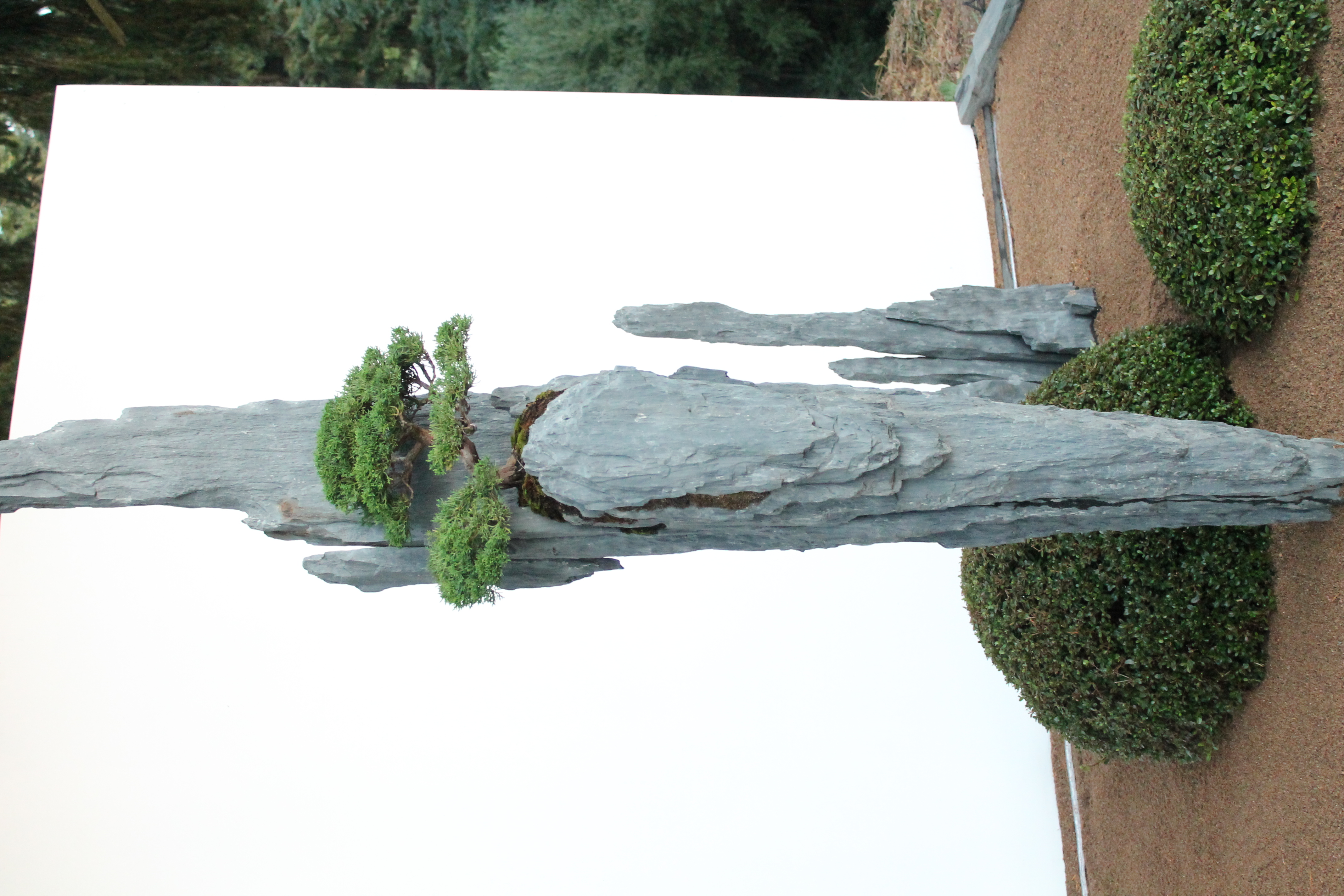 Bonsai-rocks