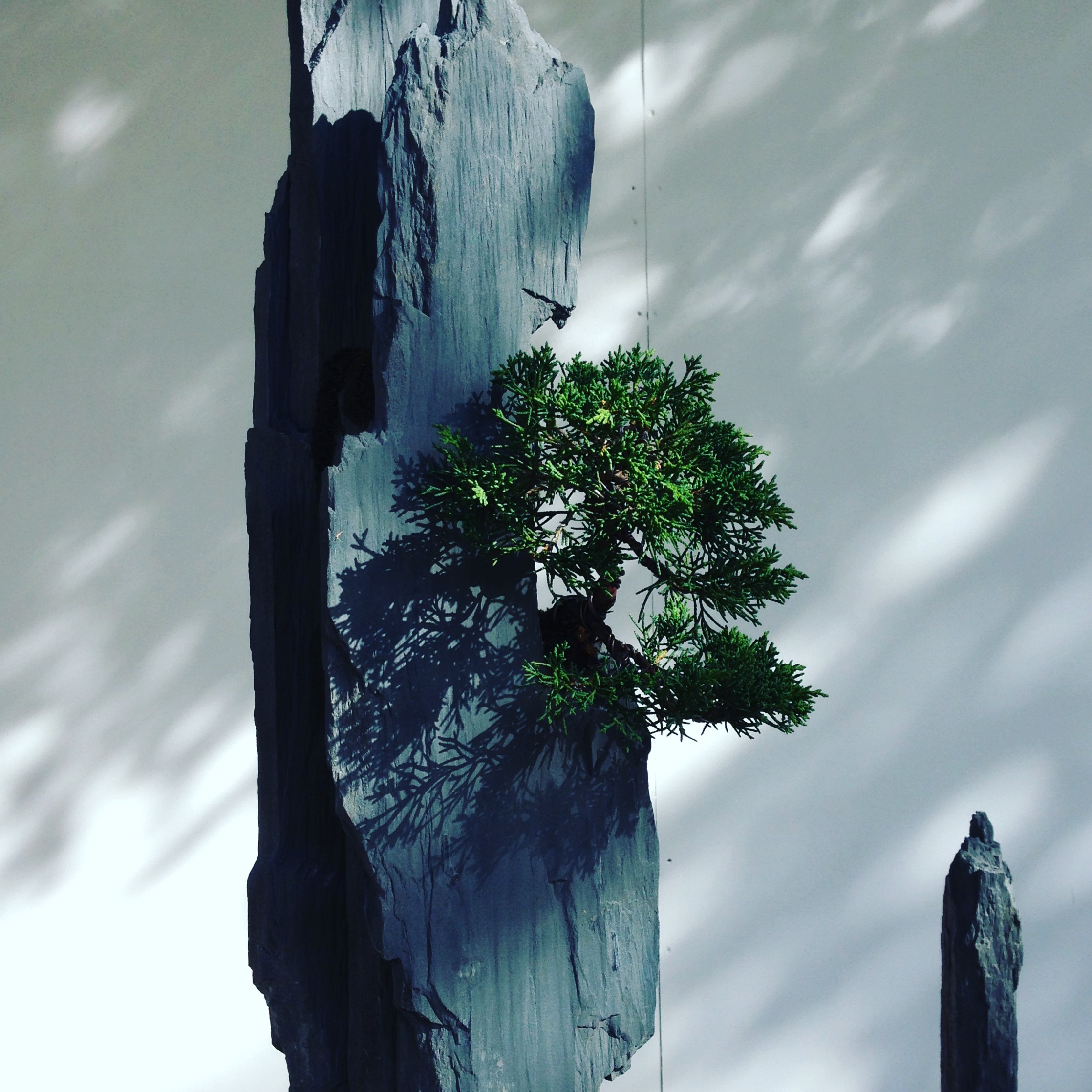 Bonsai-rocks