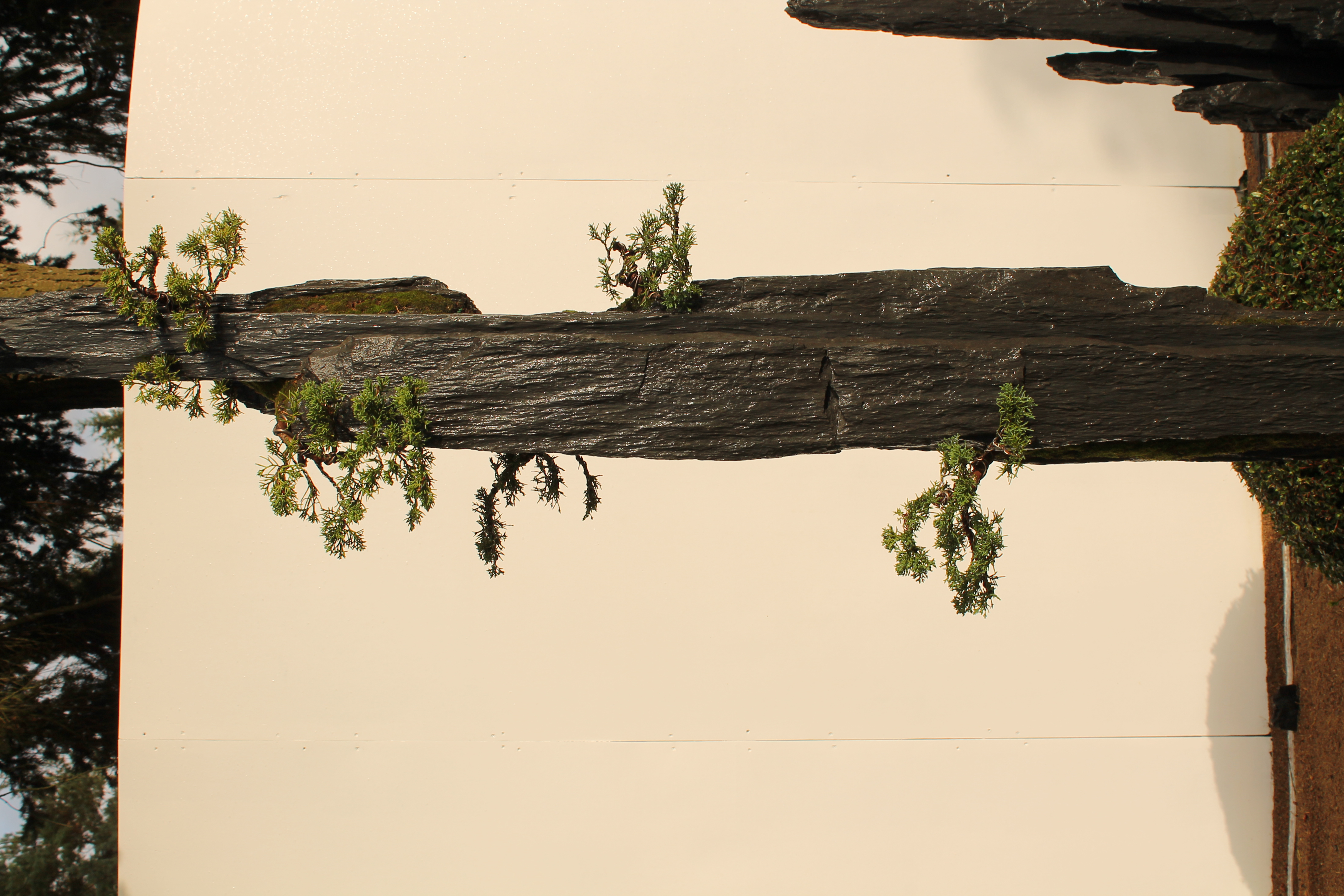 Bonsai-rocks