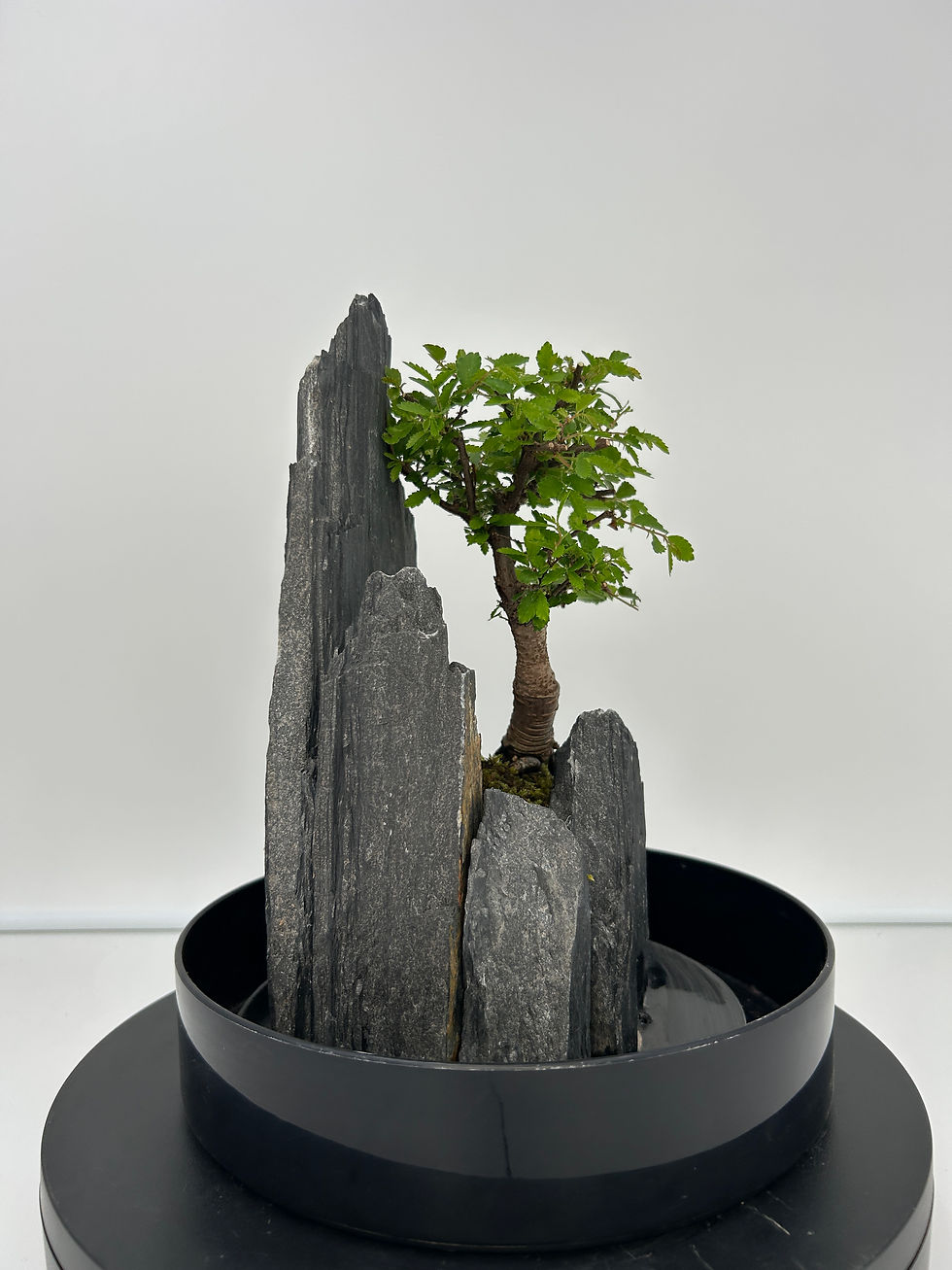 Miniature : petit paysage 68