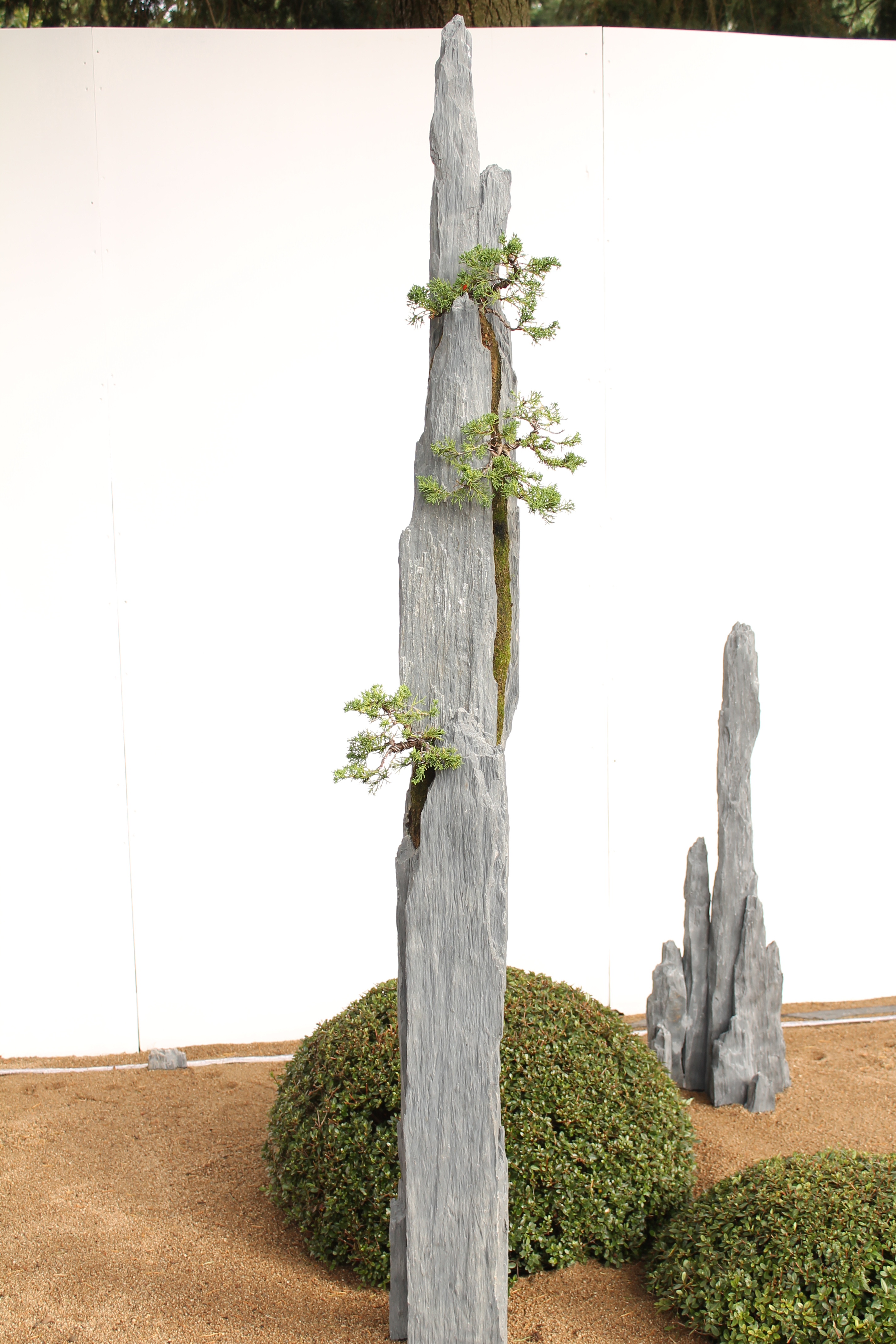 Bonsai-rocks