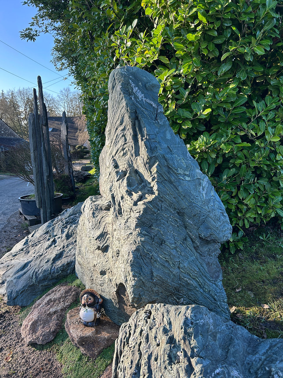 Miniature : Pierre  ornementale  de Shikoku