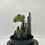 Miniature : petit paysage 22
