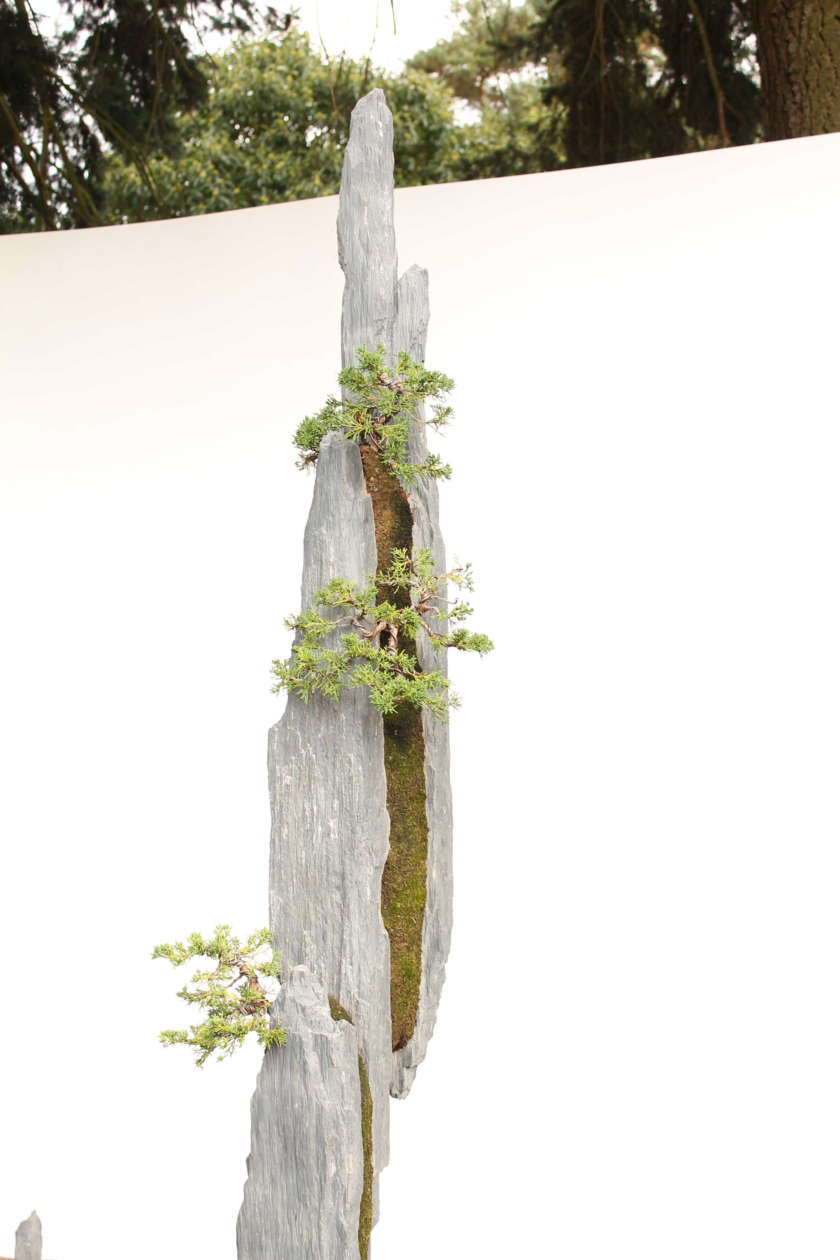 Bonsai-rocks