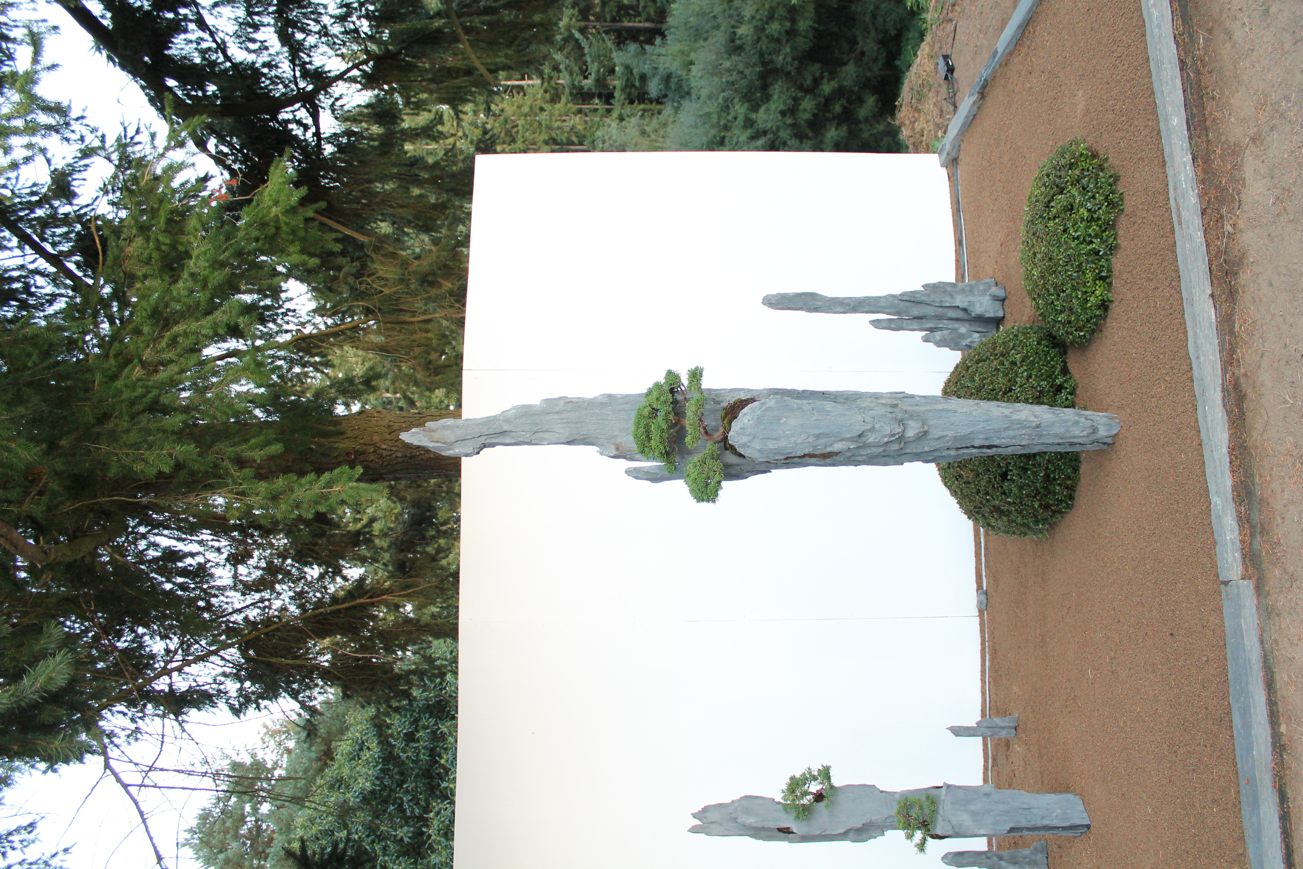 Bonsai-rocks
