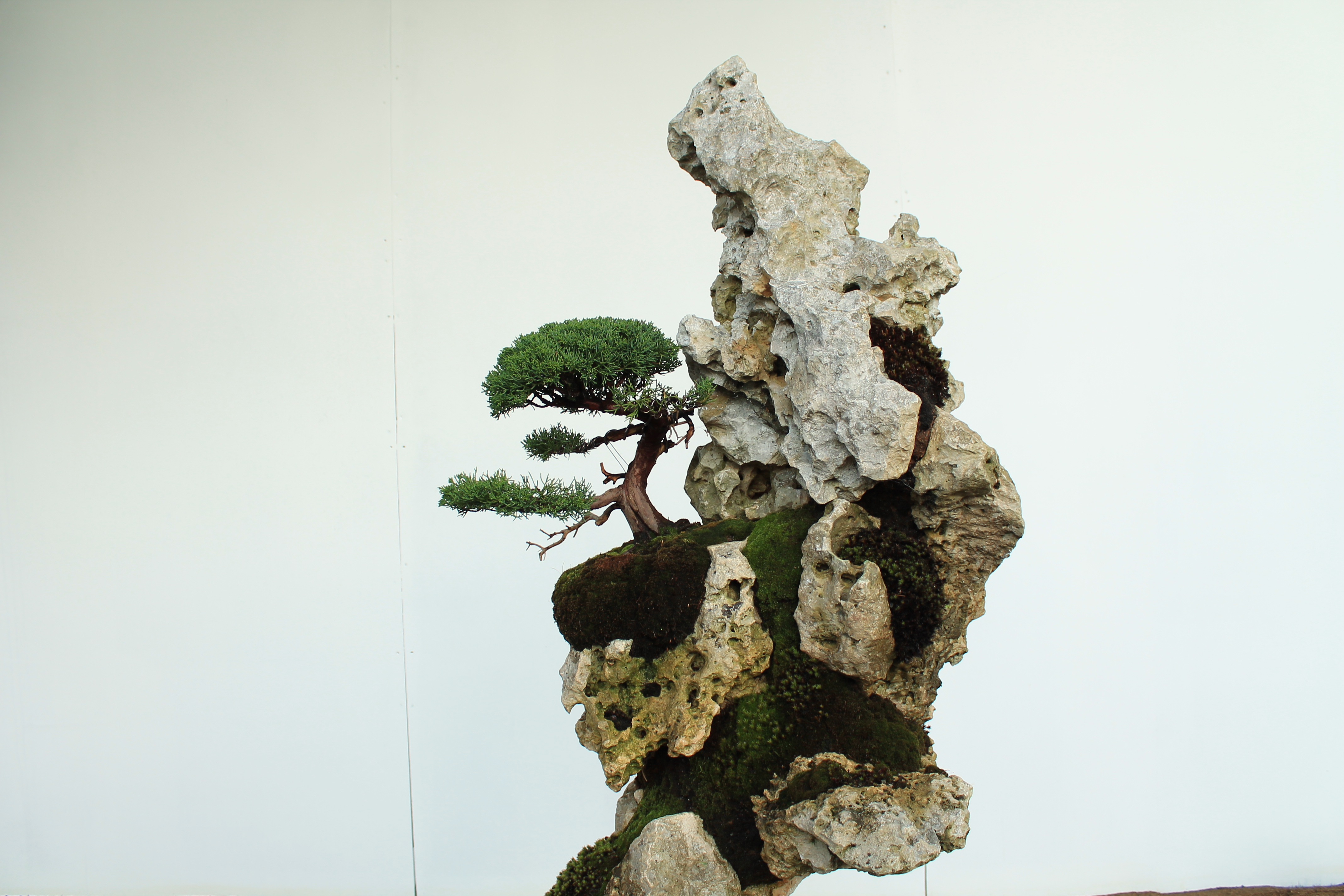Bonsai-rocks