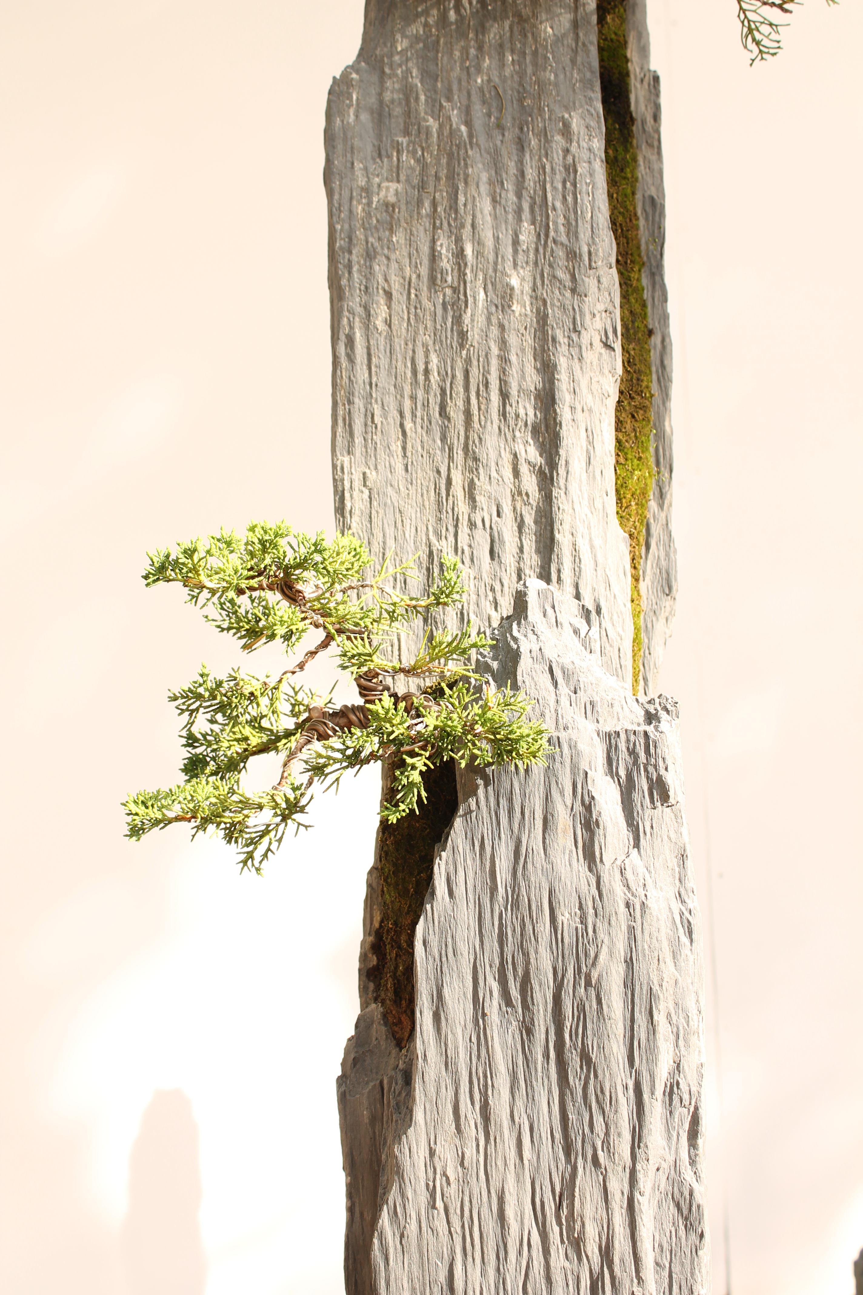 Bonsai-rocks