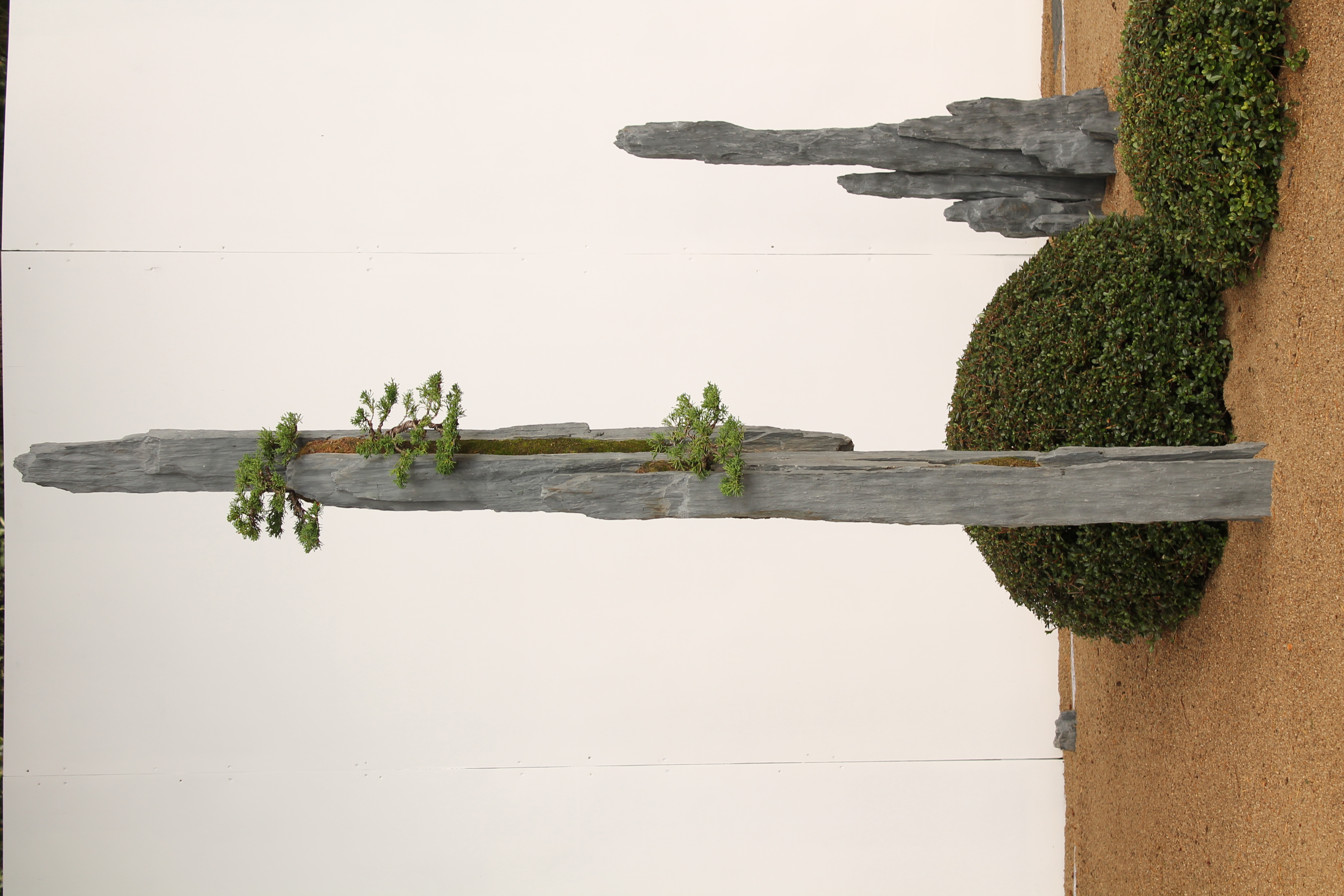 Bonsai-rocks