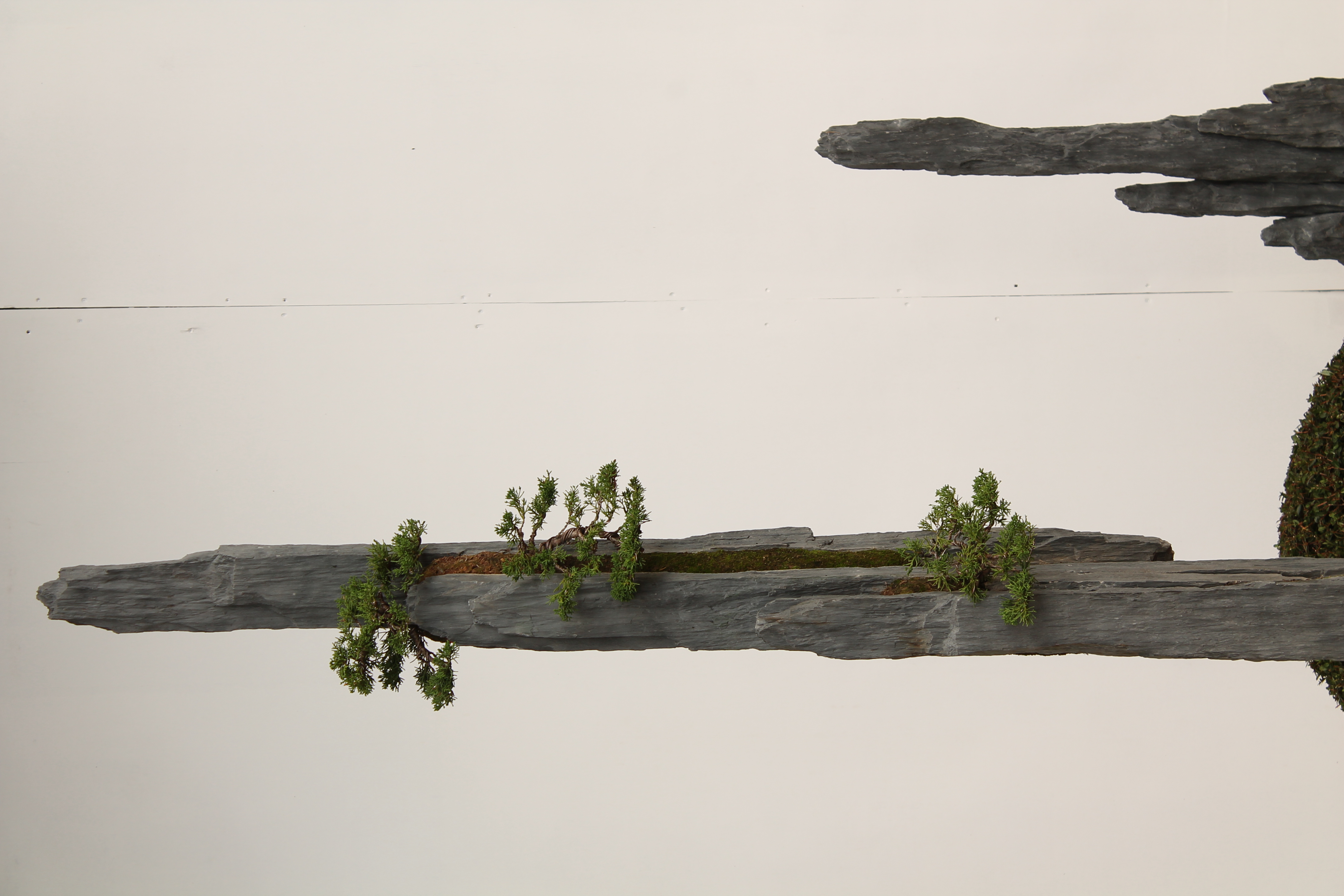 Bonsai-rocks