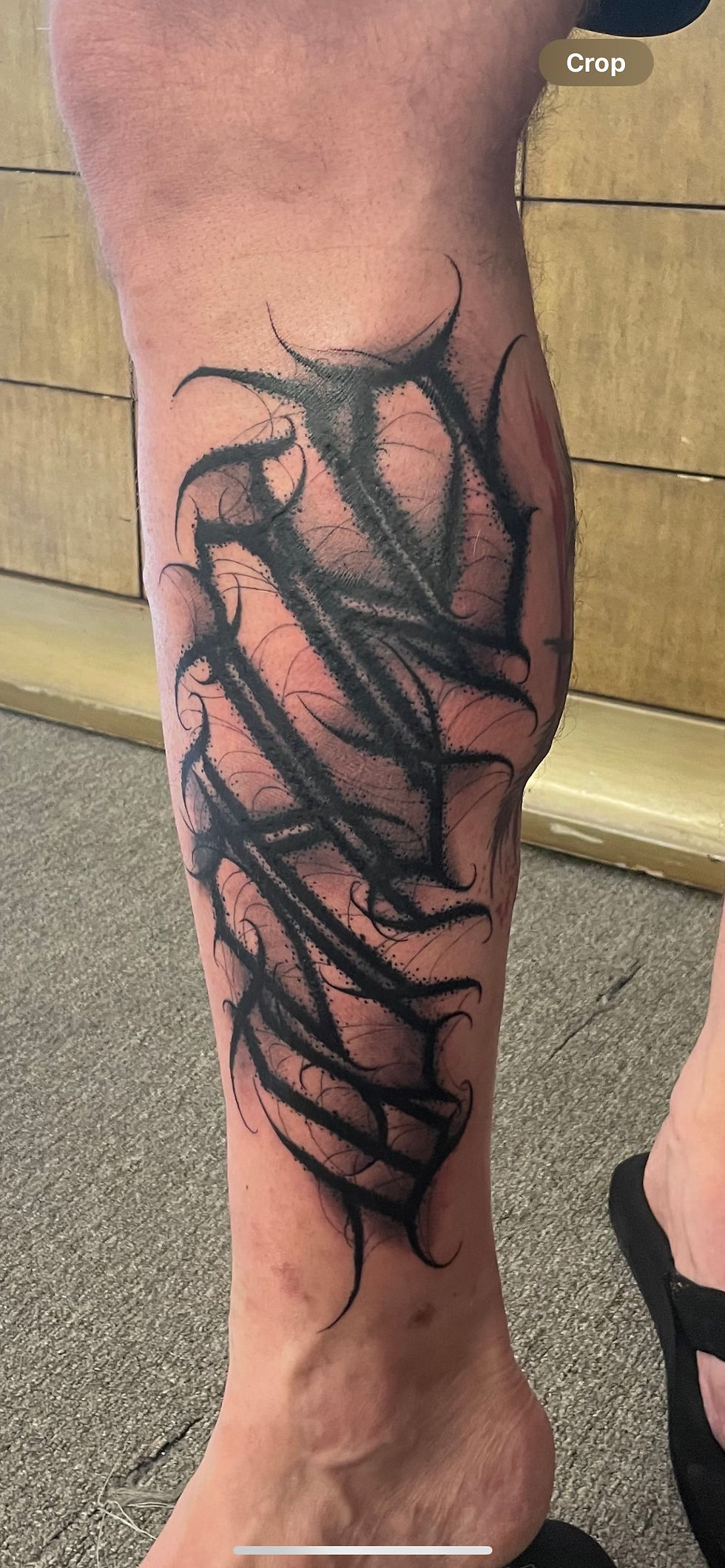 Leg Script