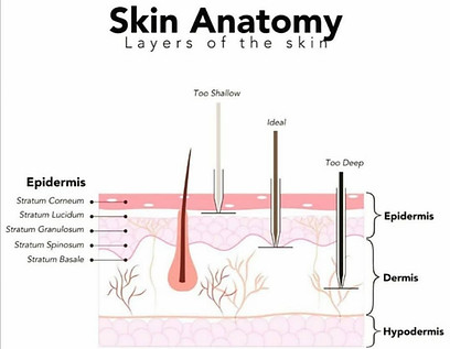Illustration Micropigmentation