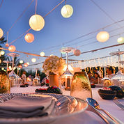 Outdoor Dinner Setting