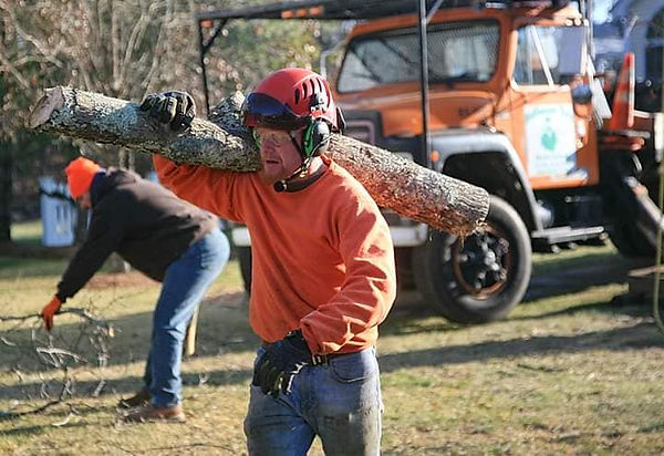 Workman Tree Service Employment Opportunities | hoffmantreeservice
