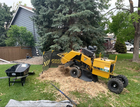 Stump Grinding