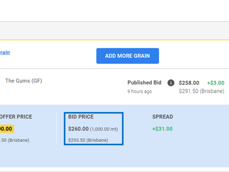 What is a 'firm' grain bid on CGX?