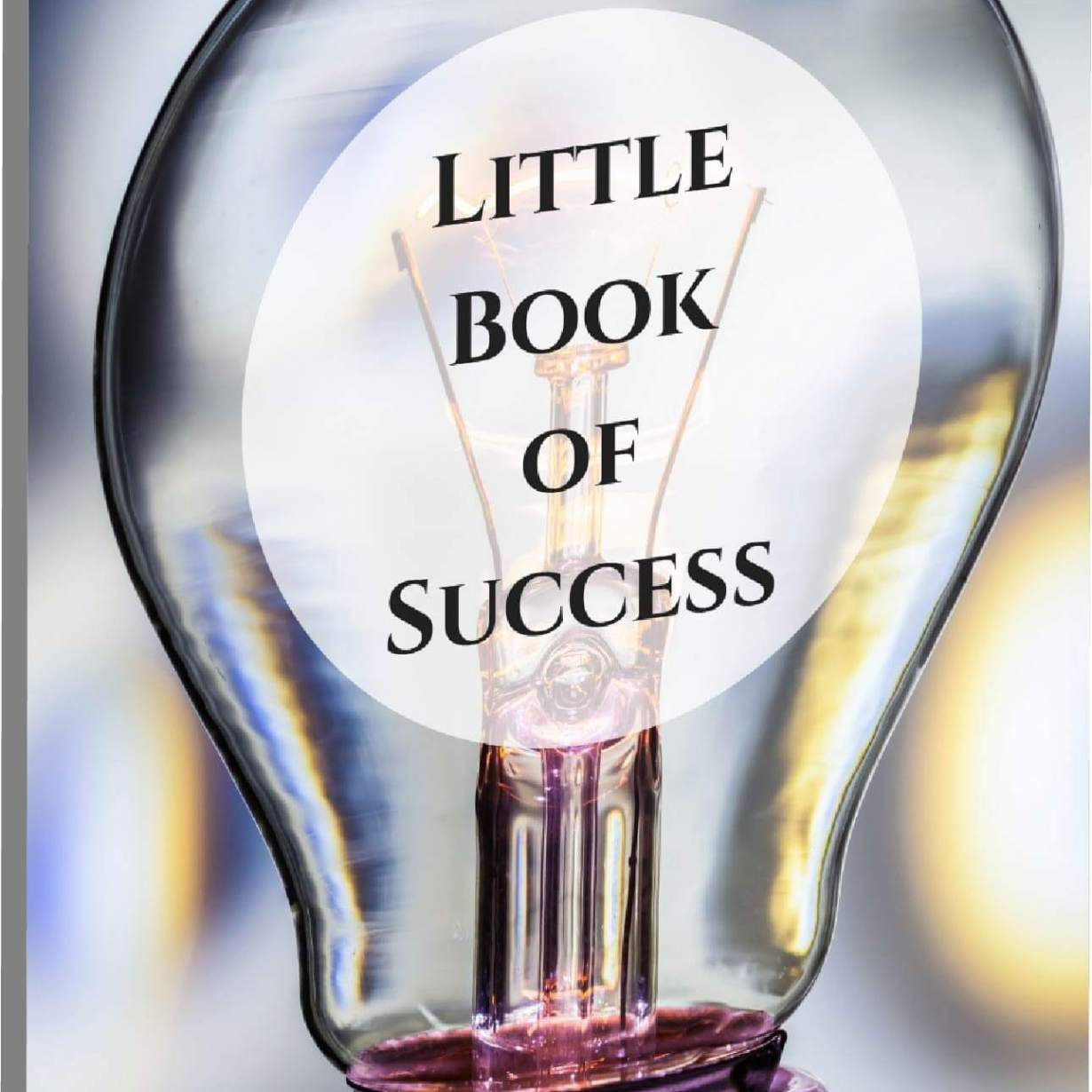 Little Book of Success (e-Book)