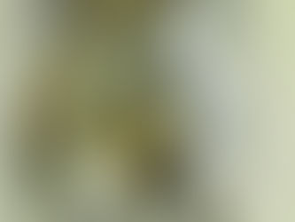 Day 25 Lunchtime Painting