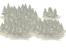 trees_7_edited.png