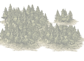 trees_7_edited.png