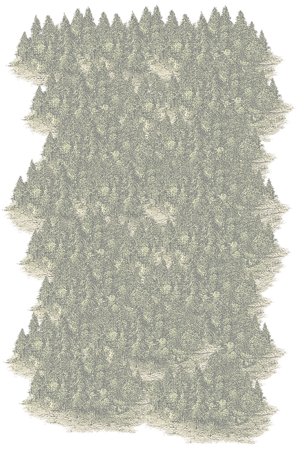 trees_big2_edited.png