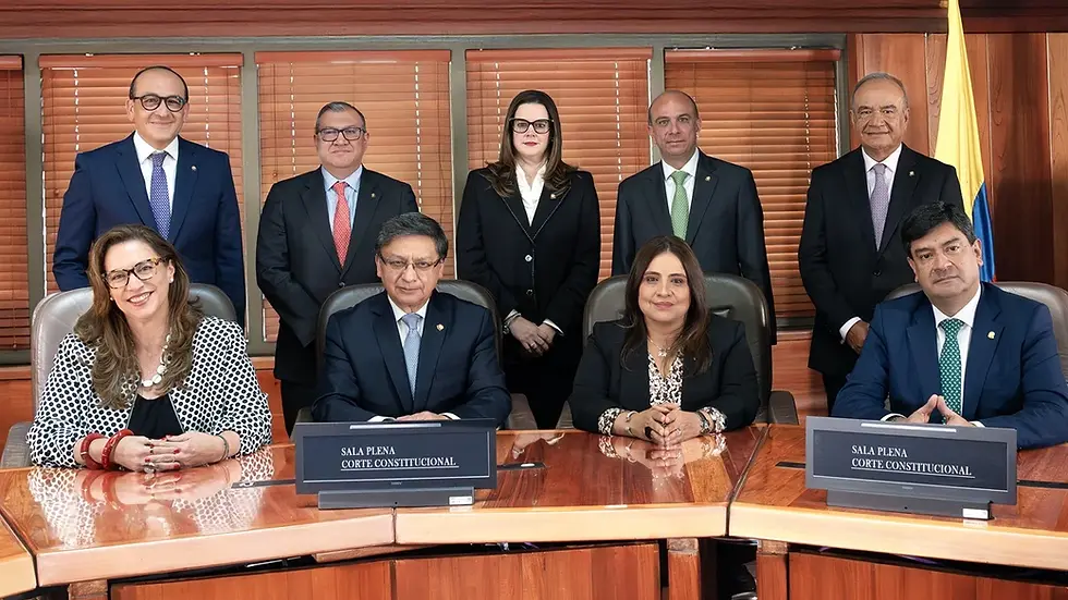 Corte Constitucional de Colombia. Juan Camilo Herrera