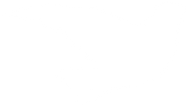 MIP_AR2020_web_DOVE_edited.png