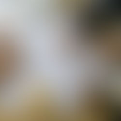 政府採購廠商的履約成果能拿去別處使用嗎？