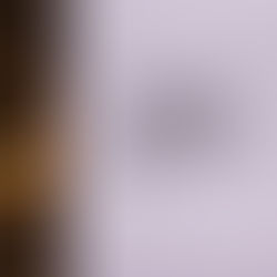 淺論政府採購法之陪標是否為詐術投標問題？