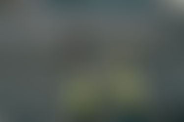 不認識之人會成立採購法陪標罪之共同正犯嗎？