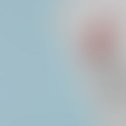 招標機關就採購案指定特定廠商的法律效果