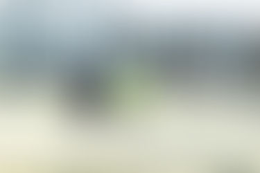 陪標無罪的最新法院案例