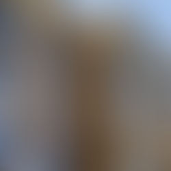 未依採購法辦理採購而遭起訴的案例