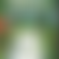 Unser Familienprojekt: Emilio schreibt sein eigenes Buch