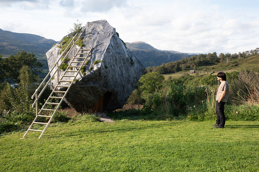 Daylight ladder010463.jpg