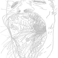 face