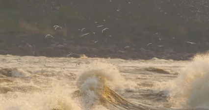 tumblr_37a79e019310bcf0650cb1f629f27fe1_c60ef0c4_500.gif