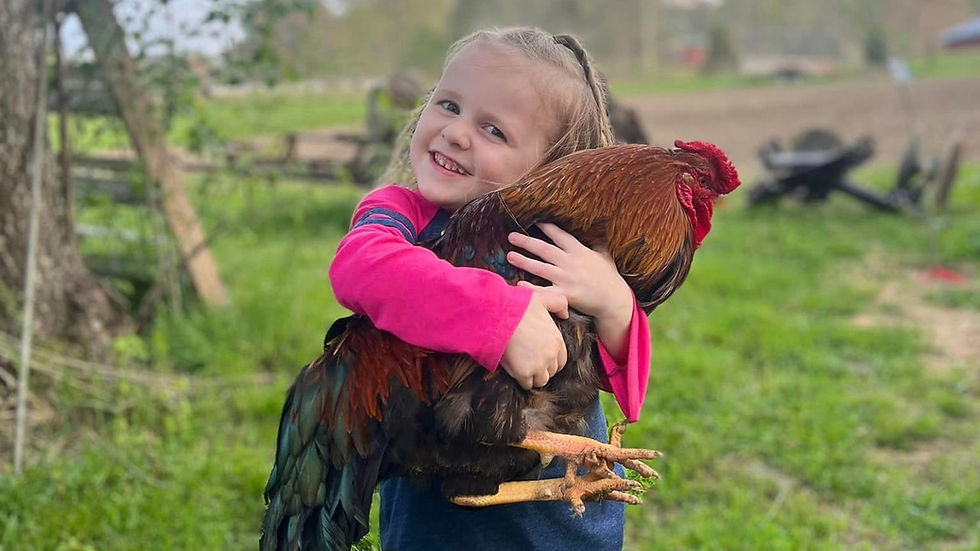 child holding a chicken with care